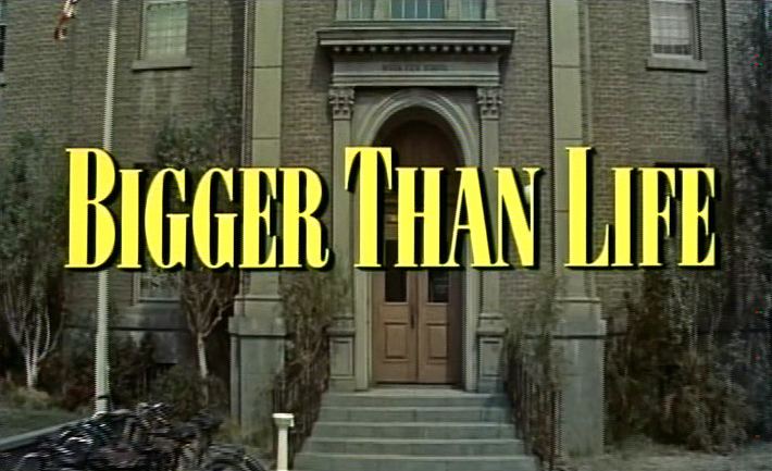 larger than life movie review