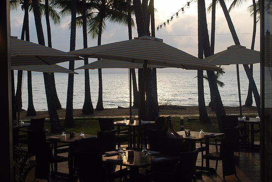nunu restaurant reviews palm cove