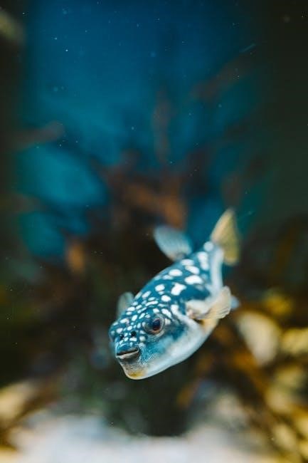 qld saltwater fish identification chart pdf qld saltwater fish identification chart pdf